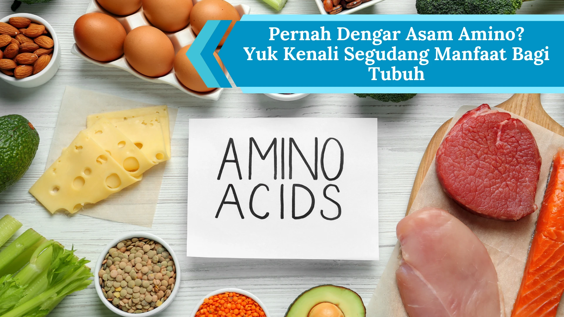 ilustrasi amino acid