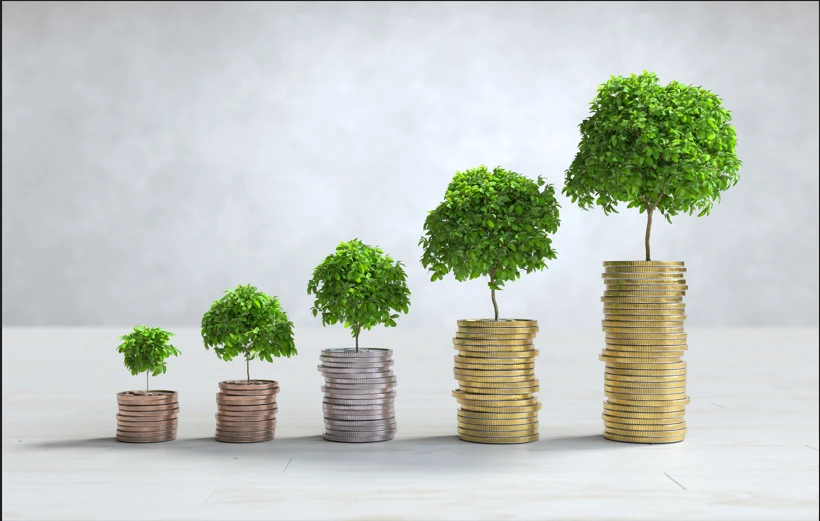 panduan lengkap investasi